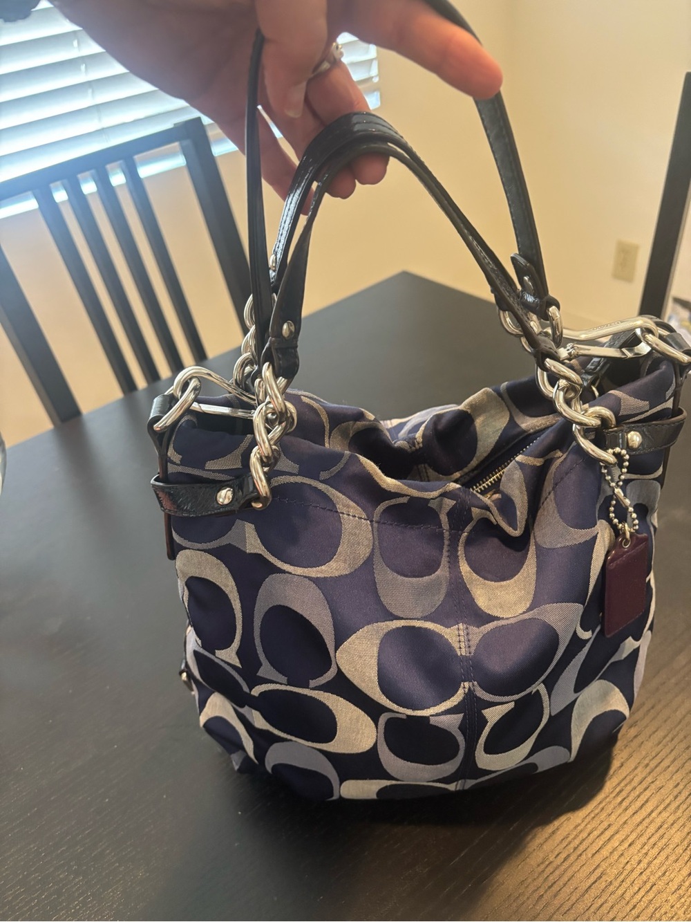 Coach Brooke Op Art Signature convertible Hobo shoulder bag